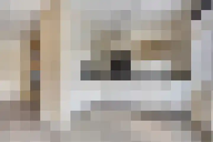 Mozartstraat 5 Hulst thumbnail 12