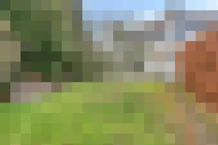 Mozartstraat 5 Molenhoek thumbnail 18