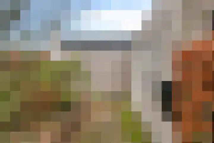 Mozartstraat 5 Molenhoek thumbnail 22