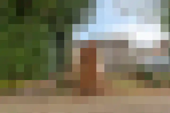 Mozartstraat 5 Molenhoek thumbnail 23