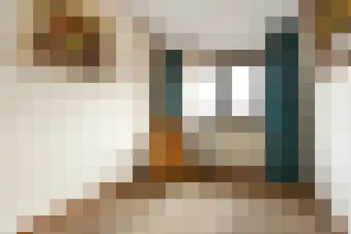 Mozartstraat 51 Elst thumbnail 21