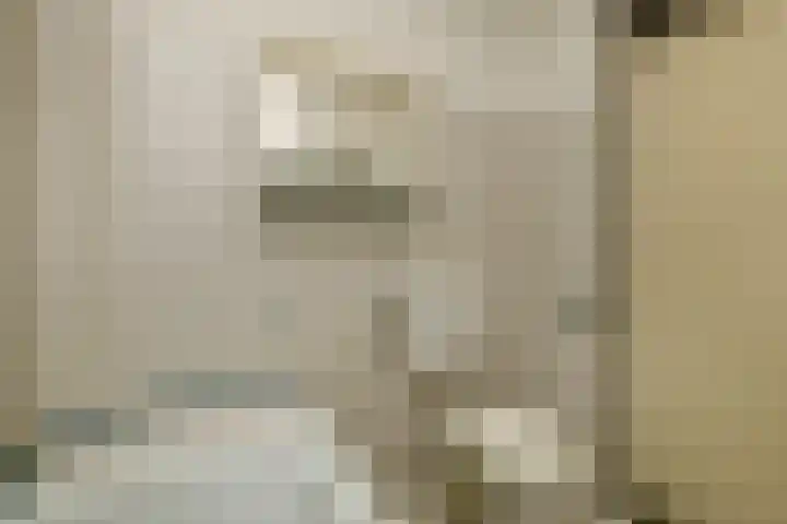 Mozartstraat 51 Elst thumbnail 28