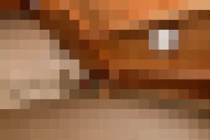 Mozartstraat 51 Elst thumbnail 32