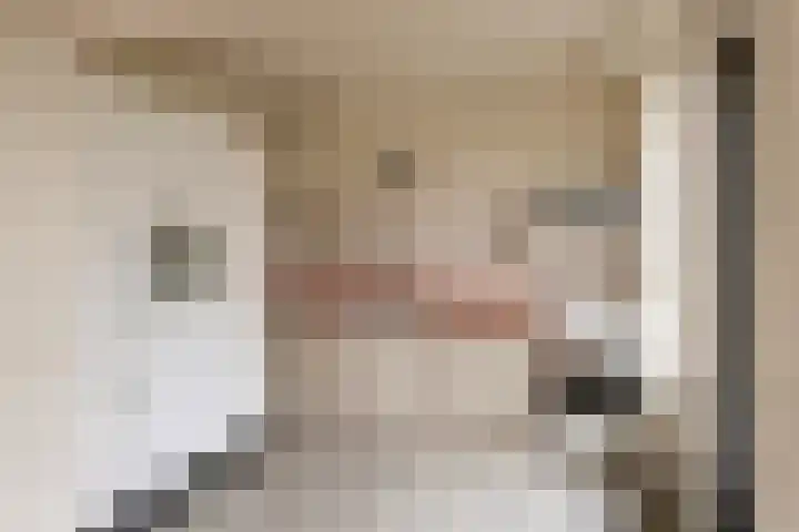 Mozartstraat 51 Elst thumbnail 6