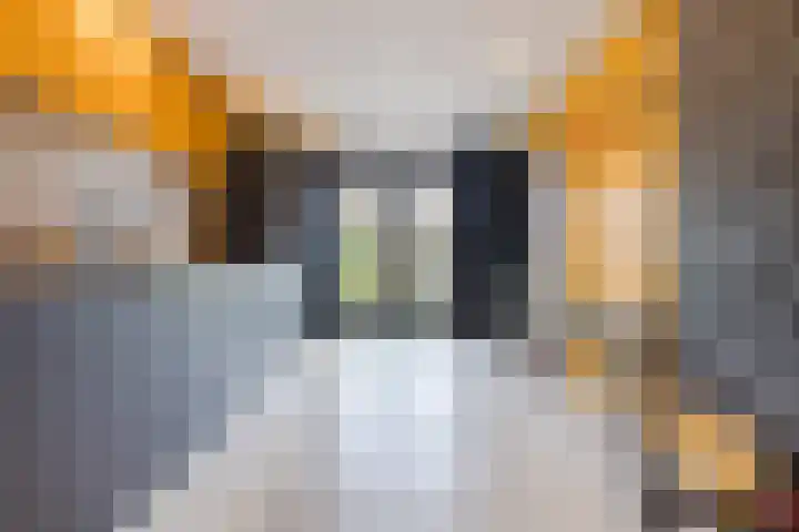 Mozartstraat 51 Elst thumbnail 7
