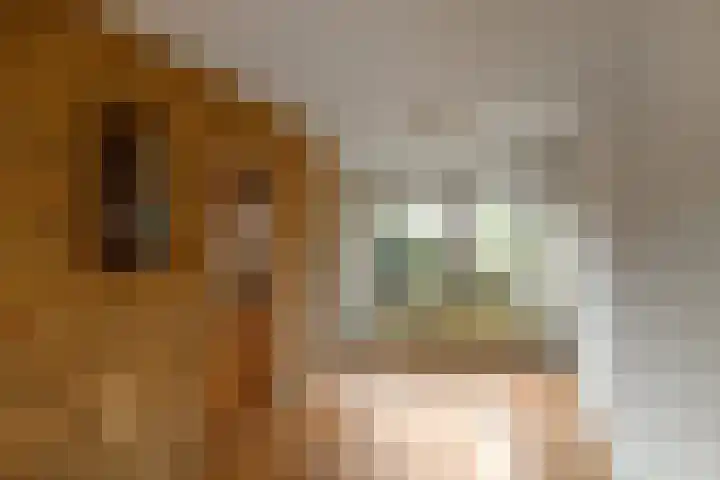 Mozartstraat 51 Elst thumbnail 8