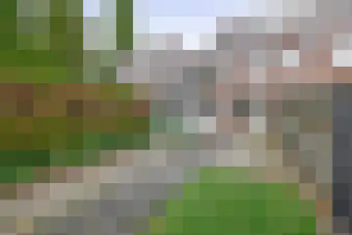 Mozartstraat 59 Schijndel thumbnail 4