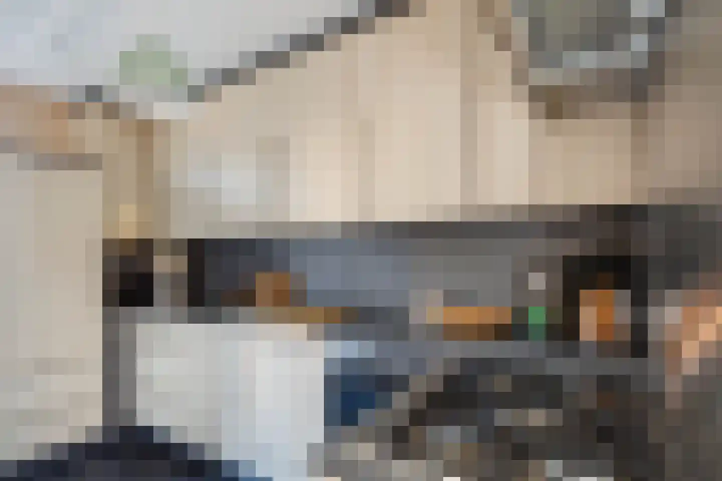 Mozartstraat 6 Geleen thumbnail 11