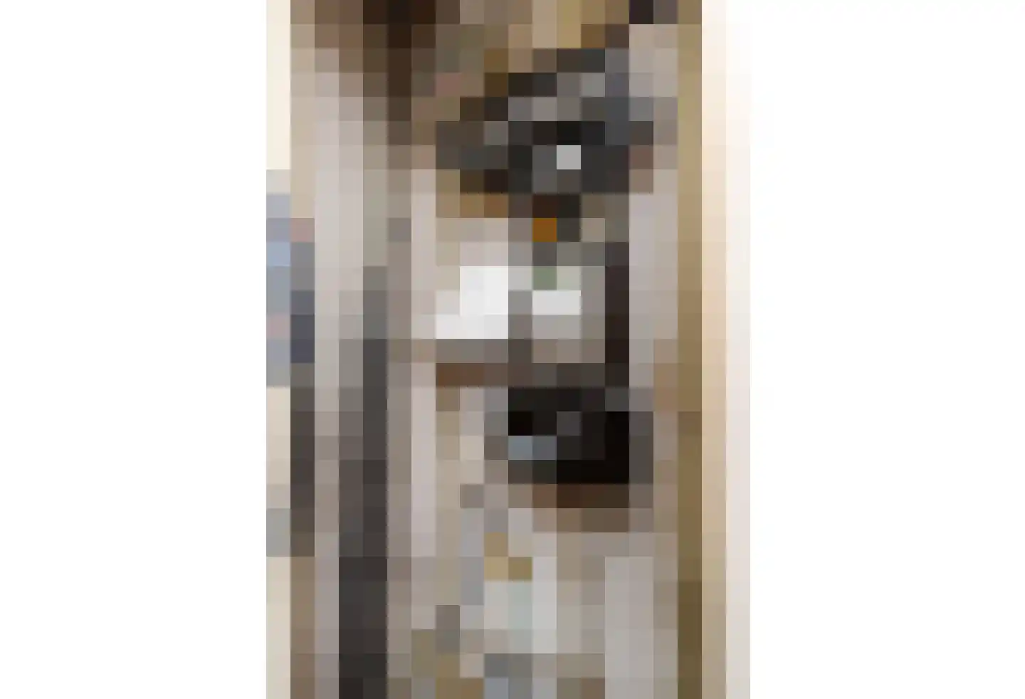 Mozartstraat 6 Geleen thumbnail 30