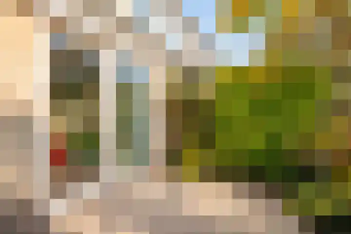 Mozartstraat 61 Barendrecht thumbnail 33