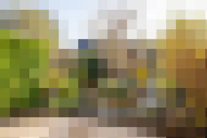 Mozartstraat 61 Barendrecht thumbnail 34