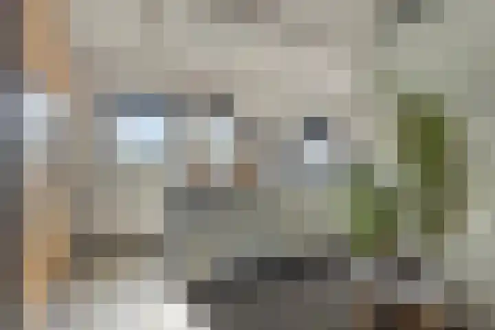 Mozartstraat 69 Millingen aan de Rijn thumbnail 17