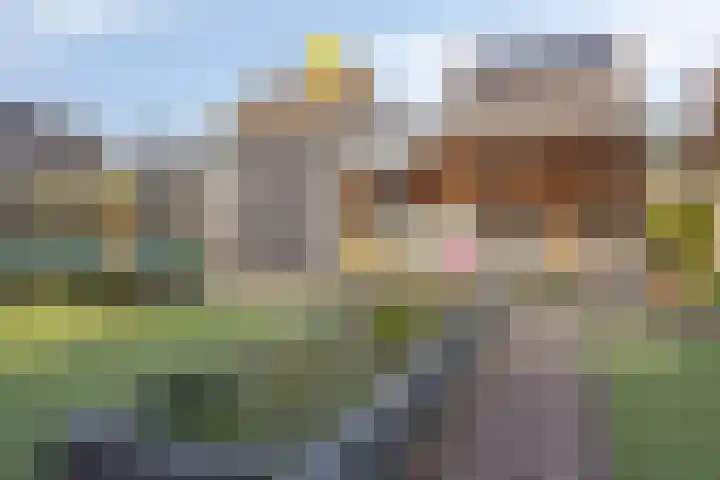 Mozartstraat 69 Millingen aan de Rijn thumbnail 34