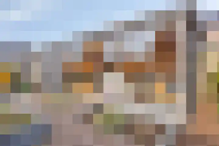 Mozartstraat 69 Millingen aan de Rijn thumbnail 35