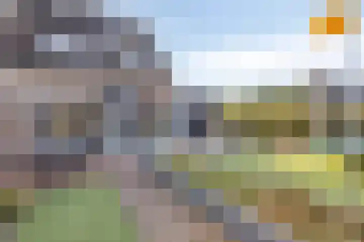 Mozartstraat 69 Millingen aan de Rijn thumbnail 38