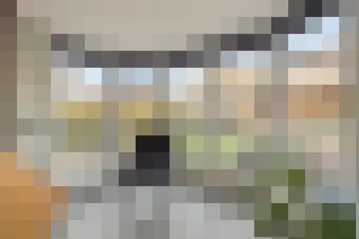 Mozartstraat 69 Millingen aan de Rijn thumbnail 9