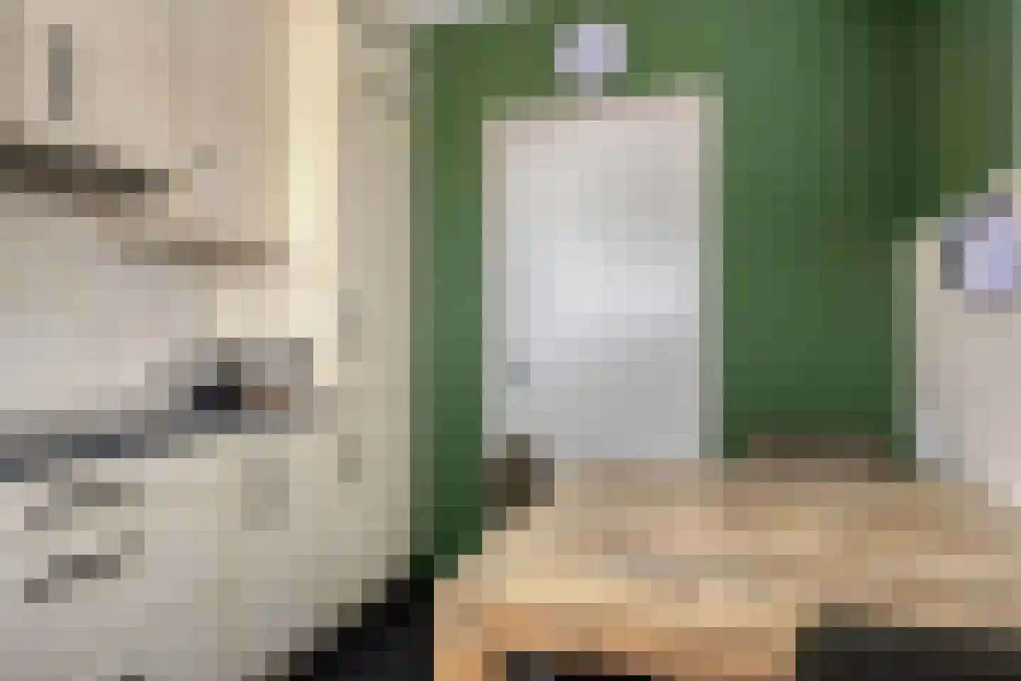 Mozartstraat 7 Axel thumbnail 13