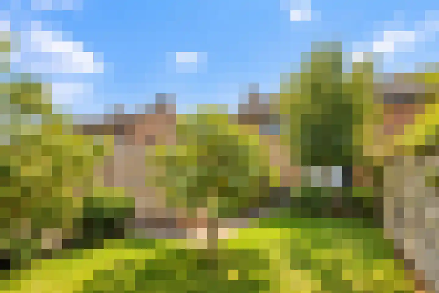 Mozartstraat 7 Axel thumbnail 25
