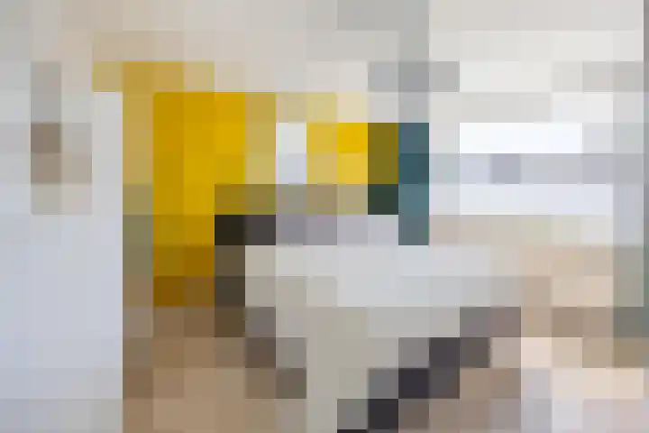 Mozartstraat 75 Elst thumbnail 17
