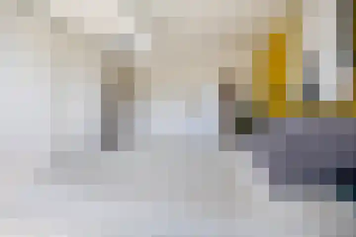 Mozartstraat 75 Elst thumbnail 18