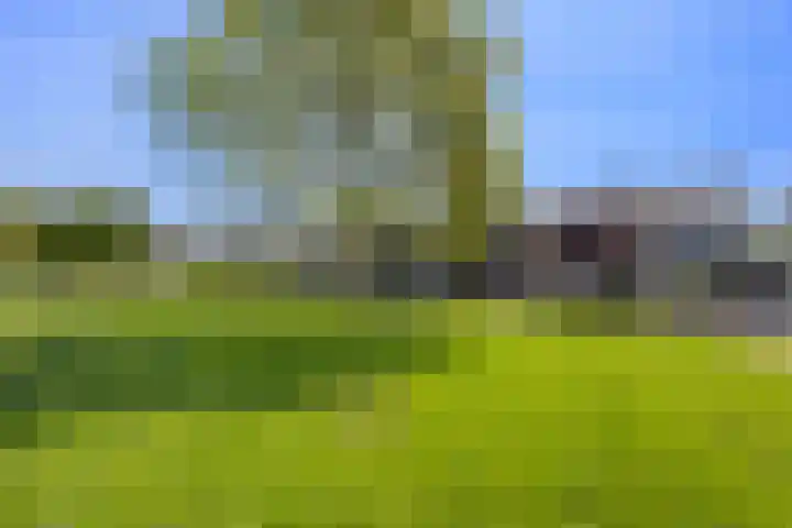 Mozartstraat 75 Elst thumbnail 43