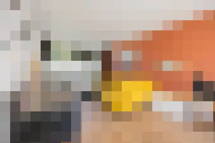 Mozartstraat 75 Elst thumbnail 6