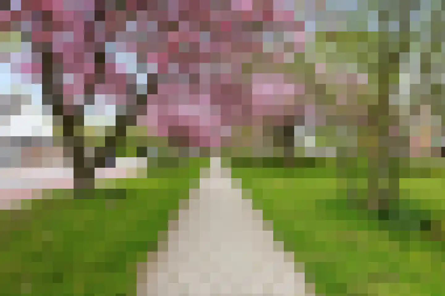 Mozartstraat 75 Heemskerk thumbnail 38