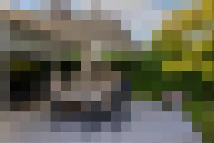 Mozartstraat 76 Barendrecht thumbnail 44