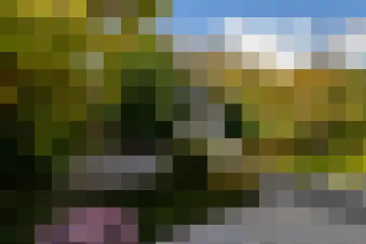 Mozartstraat 76 Barendrecht thumbnail 46