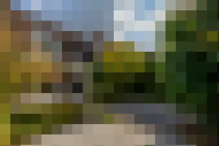 Mozartstraat 76 Barendrecht thumbnail 49
