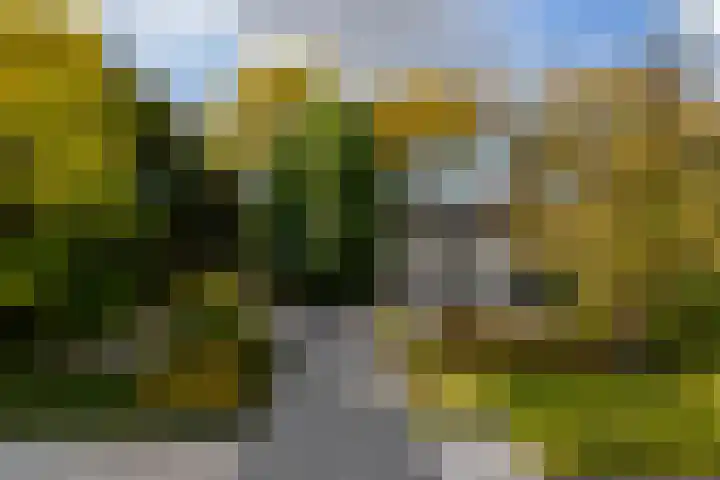 Mozartstraat 76 Barendrecht thumbnail 5