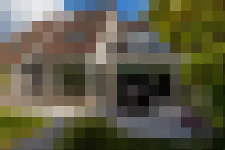 Mozartstraat 76 Barendrecht thumbnail 53