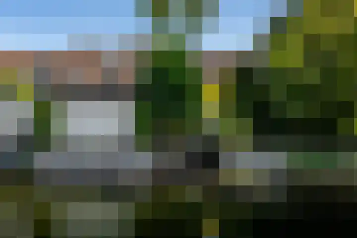 Mozartstraat 76 Barendrecht thumbnail 58