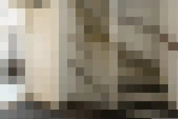 Mozartstraat 76 Elst thumbnail 26