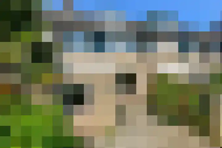 Mozartstraat 76 Elst thumbnail 32