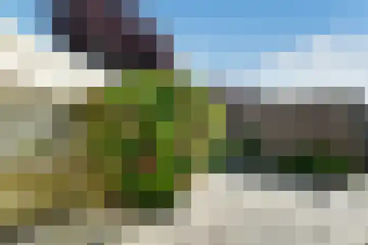 Mozartstraat 76 Elst thumbnail 35
