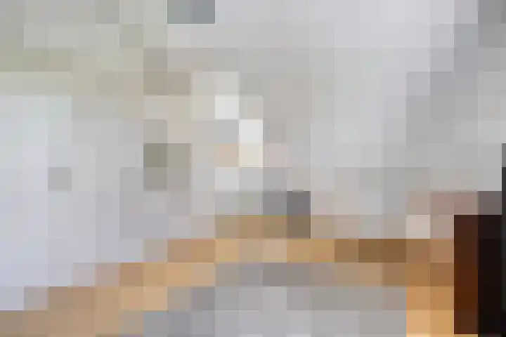Mozartstraat 8 Losser thumbnail 33