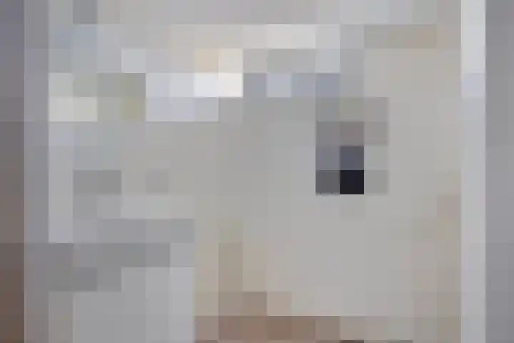 Mozartstraat 8 Losser thumbnail 34