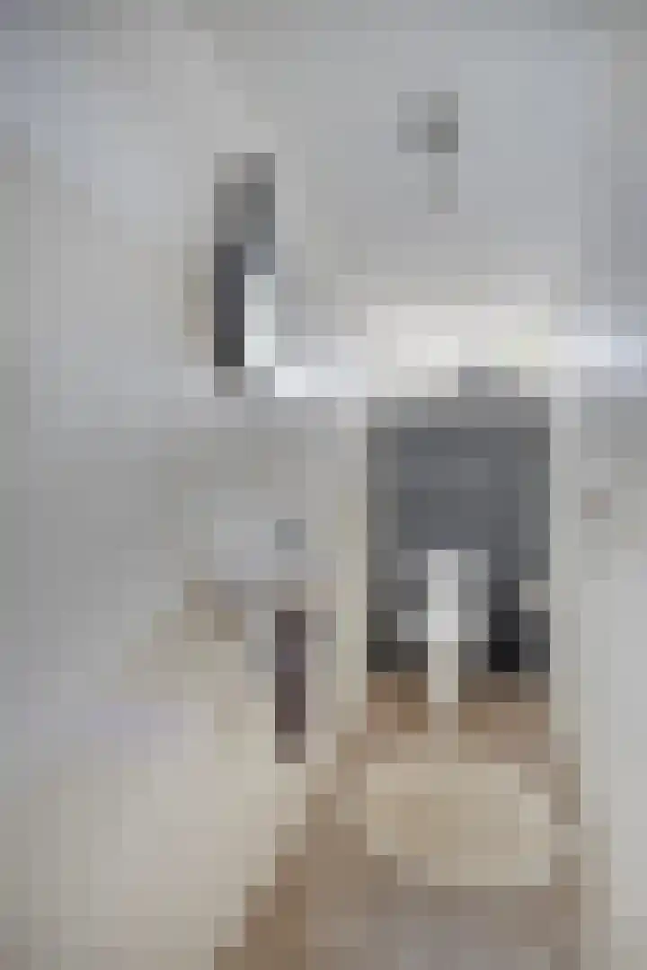 Mozartstraat 8 Losser thumbnail 35