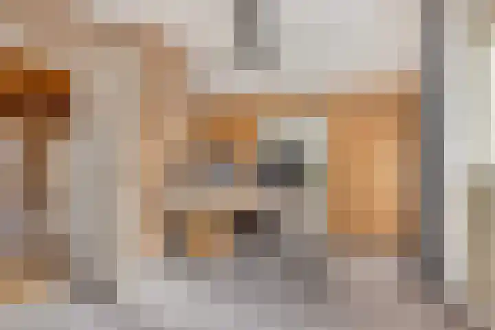 Mozartstraat 8 Losser thumbnail 36