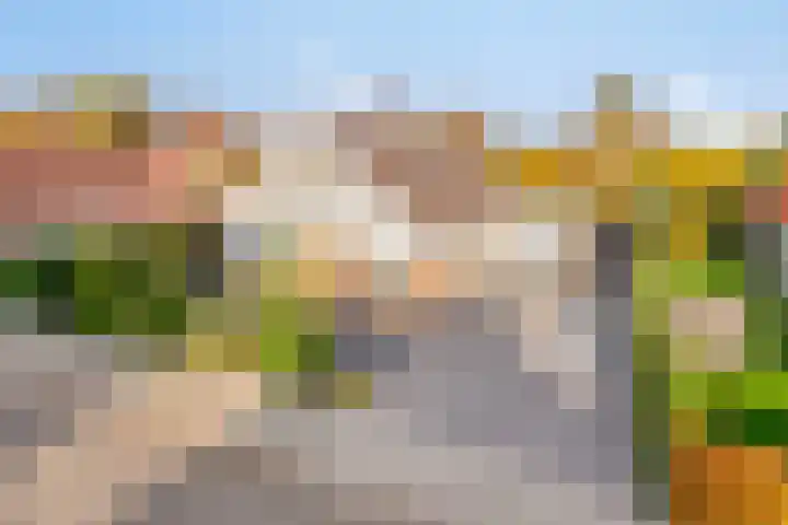 Mozartstraat 8 Losser thumbnail 4