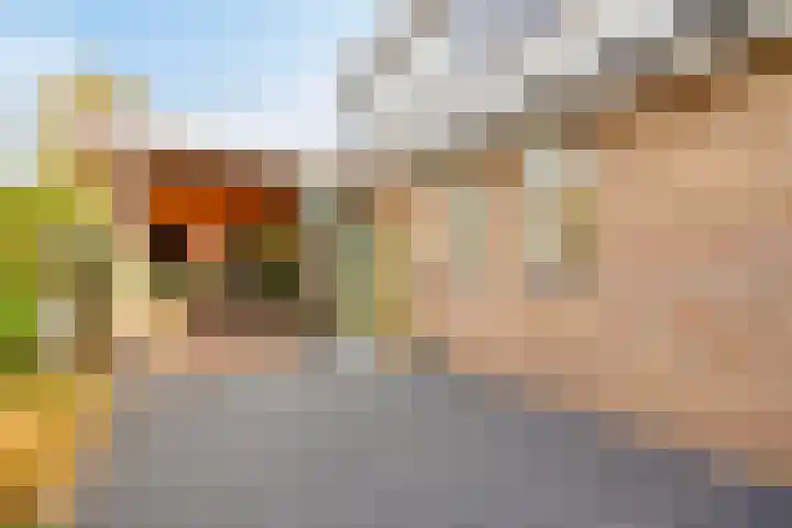 Mozartstraat 8 Losser thumbnail 41