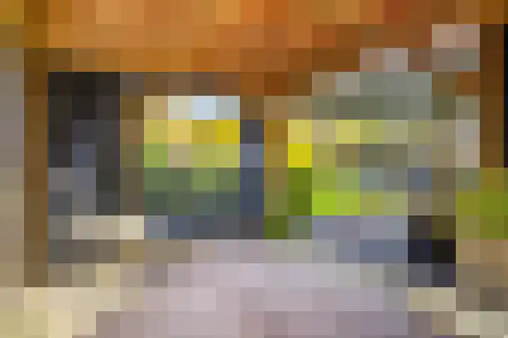 Mozartstraat 8 Losser thumbnail 43