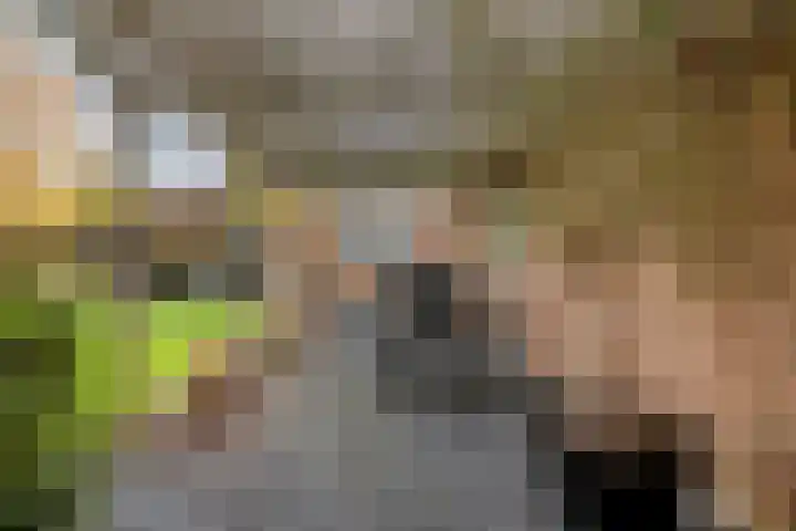 Mozartstraat 8 Losser thumbnail 44