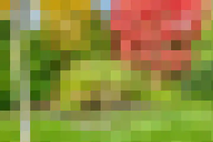 Mozartstraat 8 Losser thumbnail 47