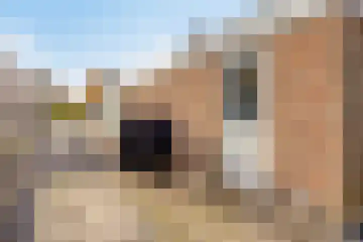 Mozartstraat 8 Losser thumbnail 53