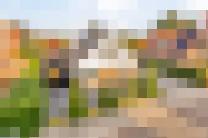 Mozartstraat 8 Losser thumbnail 56