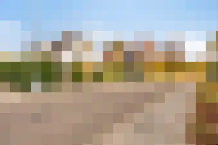 Mozartstraat 8 Losser thumbnail 57