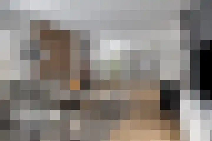 Mozartstraat 8 Losser thumbnail 9