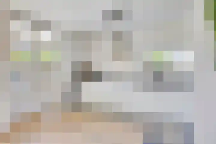 Mozartstraat 87 Elst thumbnail 15